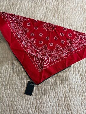 Vibrant Lipstick Bling Chain Fringe Bandana